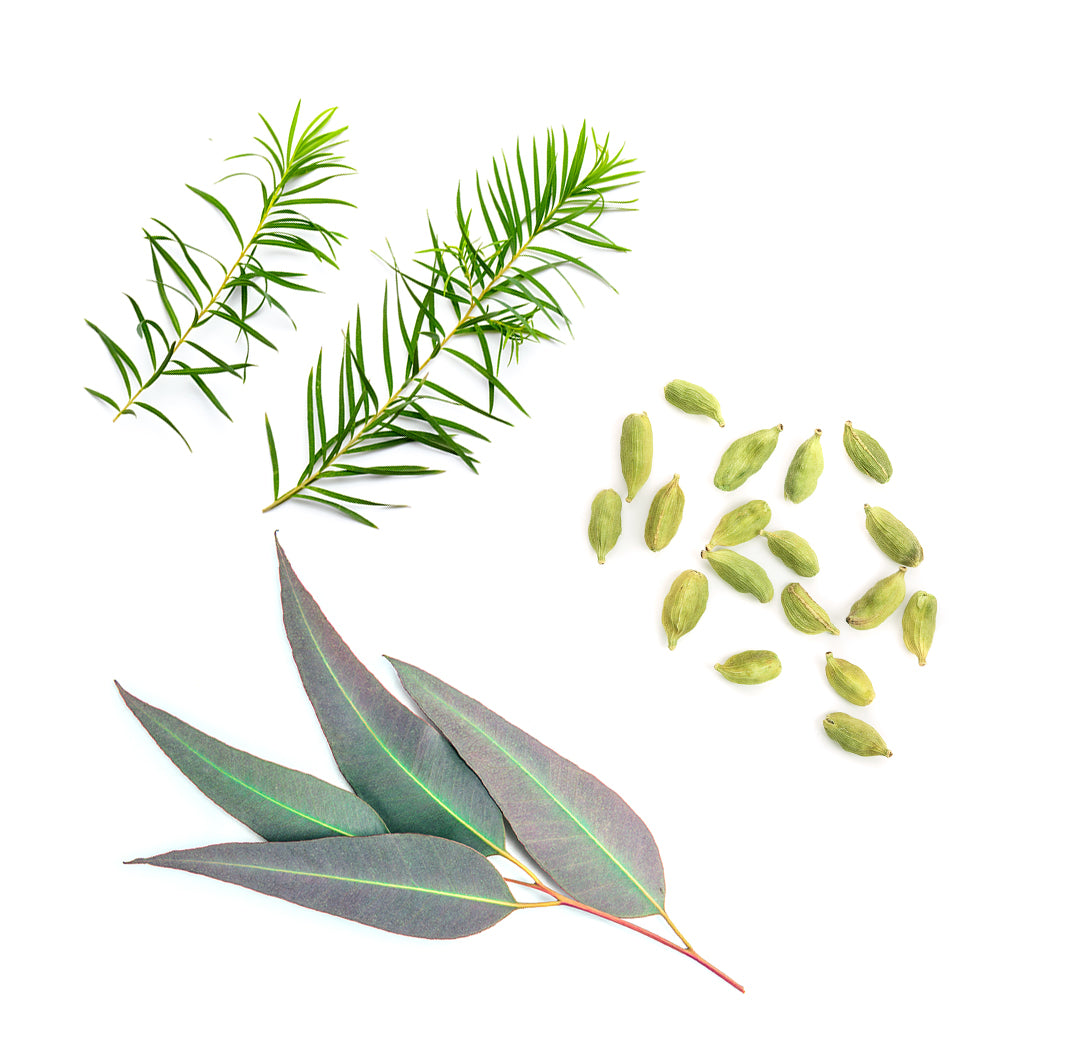 dōTERRA Air™