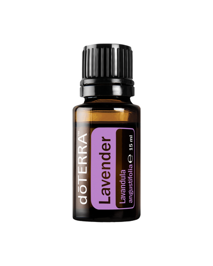 Lavender (Лавандула)
