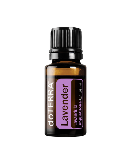 Lavender (Лавандула)