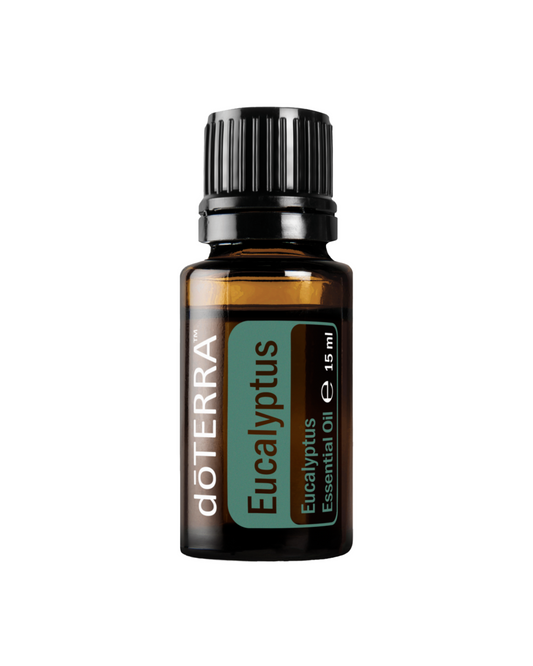 Eucalyptus (Евкалипт)
