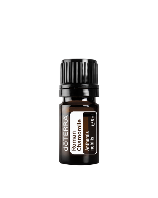 Roman Chamomile (Римска лайка)